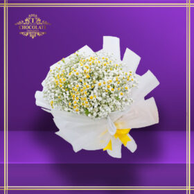 Chamomile Daisy - Tanacenum - And Gypso Bouquet